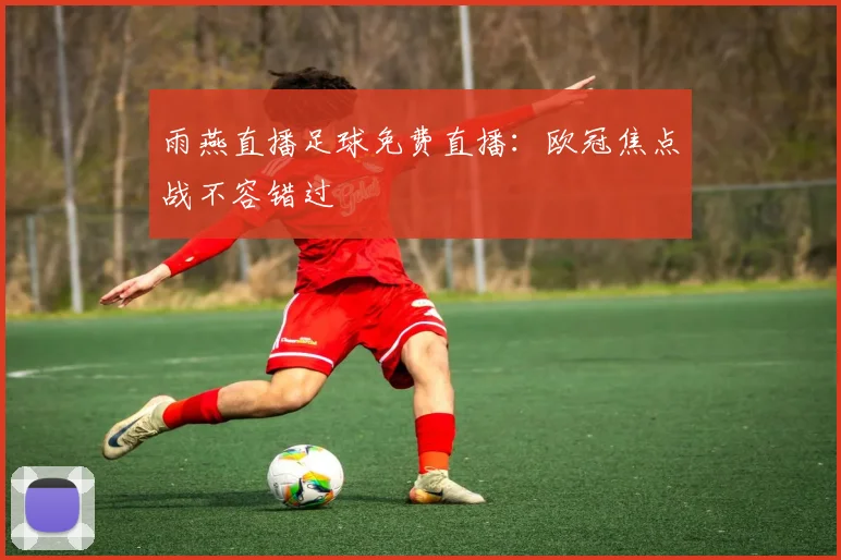 雨燕直播足球免费直播：欧冠焦点战不容错过