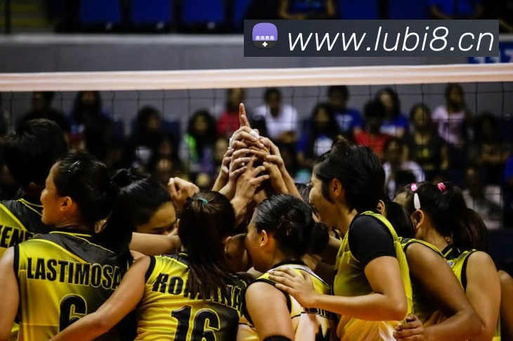 九游体育最新官网服务体系